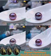Blueberry(1 Deep Color 9-11mm Freshwater Pearl)【Pearlism】